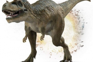 Albertosavr - відносний ti rex Albertosavr - відносний ti rex